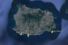 Segnalazioni Ischia Lophocladia
