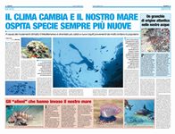 il clima cambia e il nostro mare ospita specie sempre più nuove