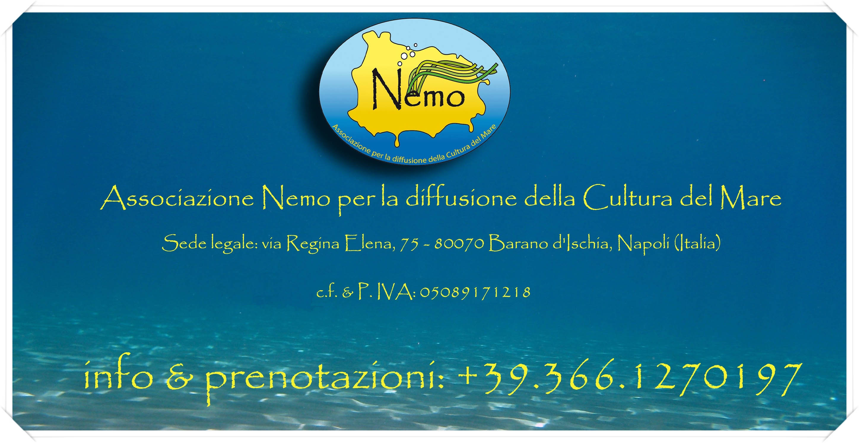 immagine contatti e recapiti ad ischia e barano dell'associazione nemo per la diffusione della cultura del mare