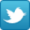 seguici su Twitter