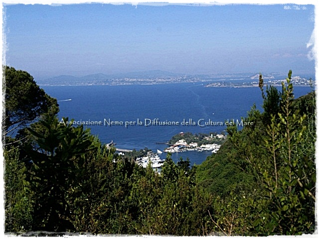 panorama ischia porto