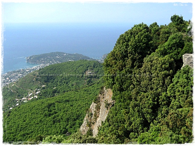 panorama di Ischia dal sentiero dei Frassitelli