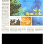 Il Dispari_Biodiving 2013 copia